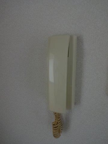 ビラ・ハクベリー その他5