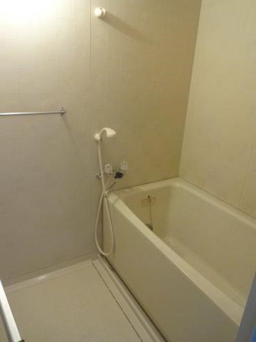 ビラ・ハクベリー その他18