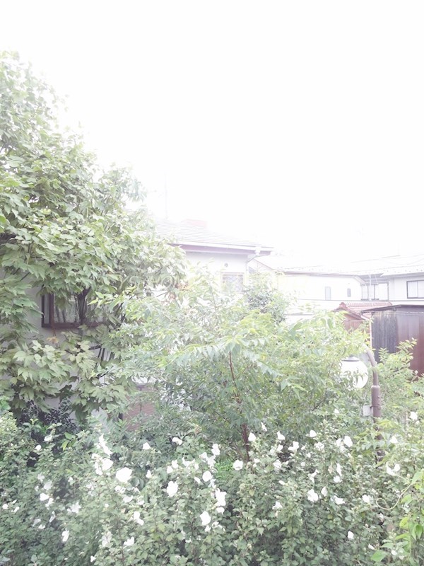 井の頭1丁目貸家  その他4