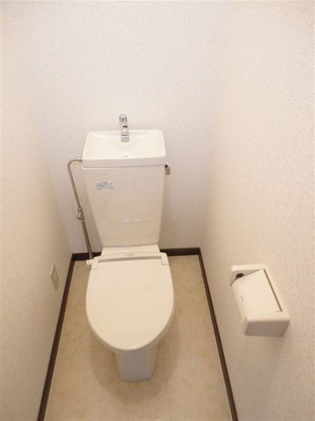 ハイムワカクサ その他1