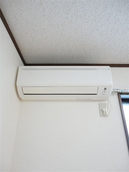 ハイムワカクサ その他4