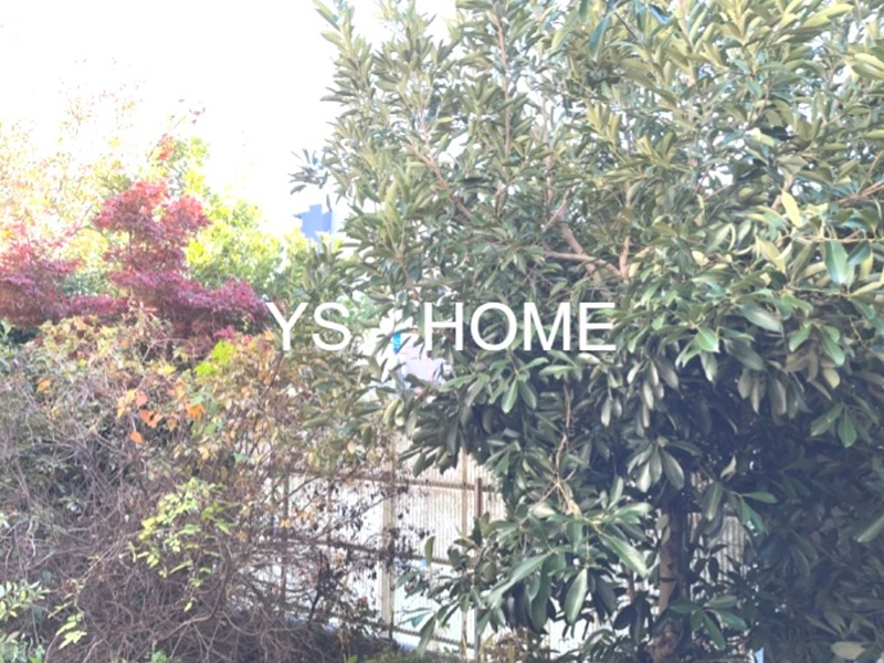 ハイゴールドマンション その他23