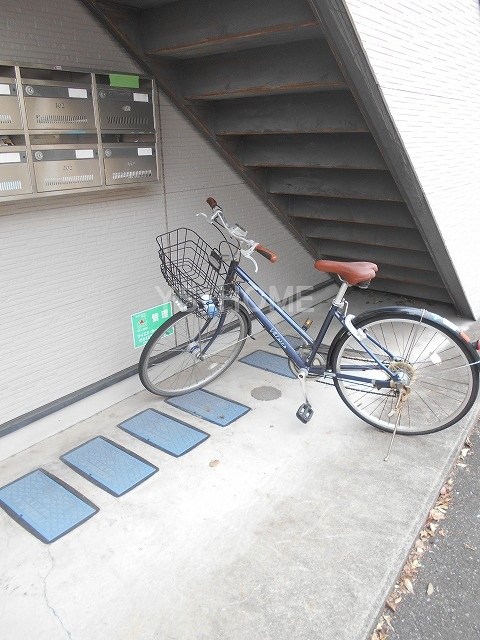 ハイムワカクサ その他6