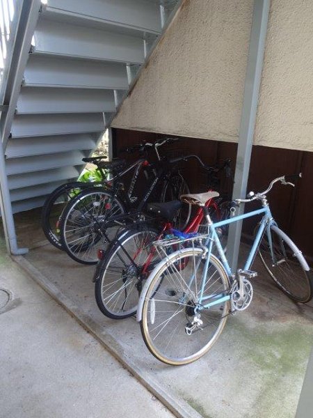 コスモ　ノーマ その他1