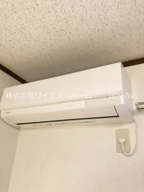 ハイムワカクサ その他1