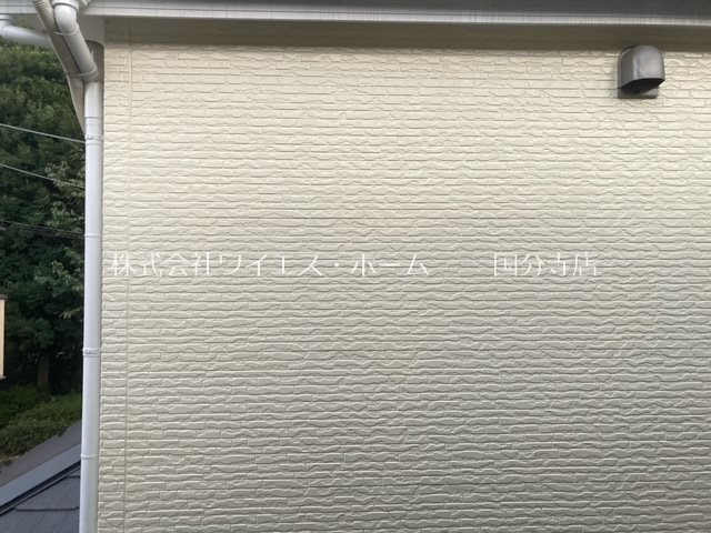 ハイムワカクサ その他5