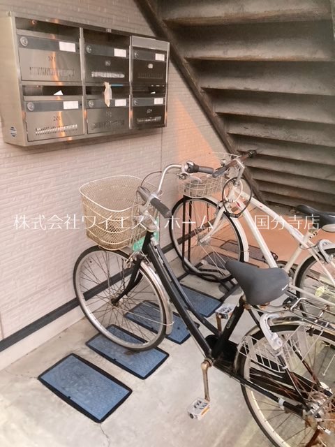 ハイムワカクサ その他6