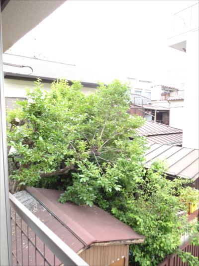 ココ・ハウス その他6