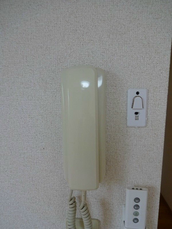 アニスAOBA その他4