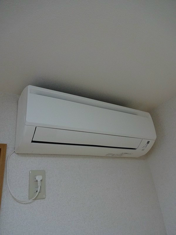 アニスAOBA その他12