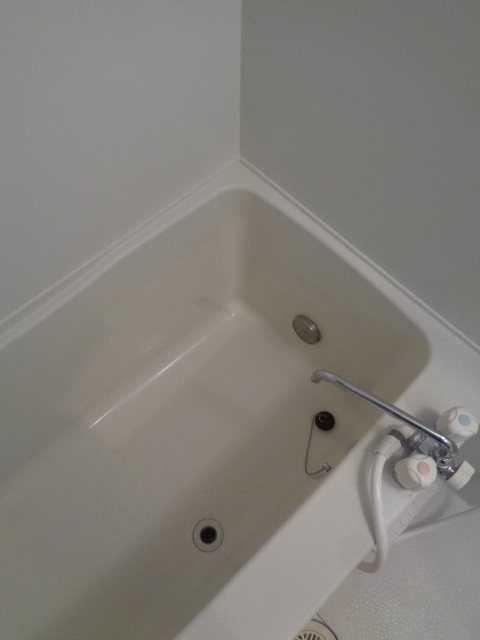 プリマベーラ その他11