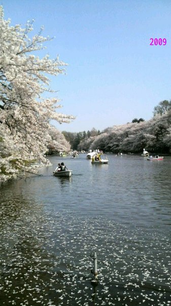 Grip吉祥寺 周辺画像1