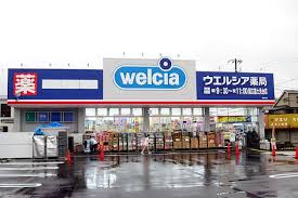 クリオレミントンヴィレッジ国立 周辺画像3