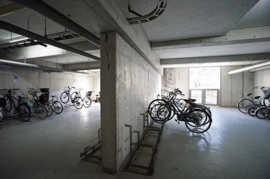 エコタワーバオバブ その他8