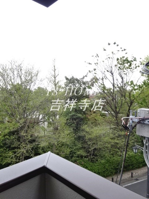 viola mitaka その他5