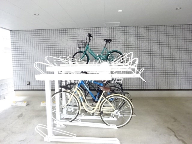 viola mitaka その他14