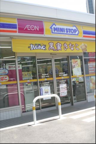 国立テラスハウス  周辺画像8