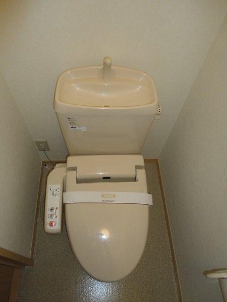 Y-グレース その他2