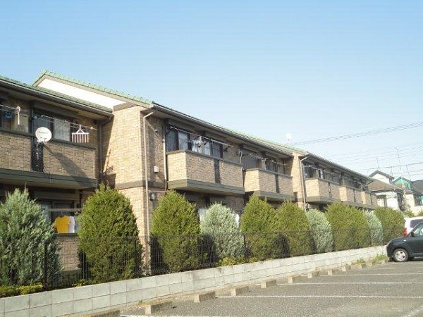 Y-グレース その他11