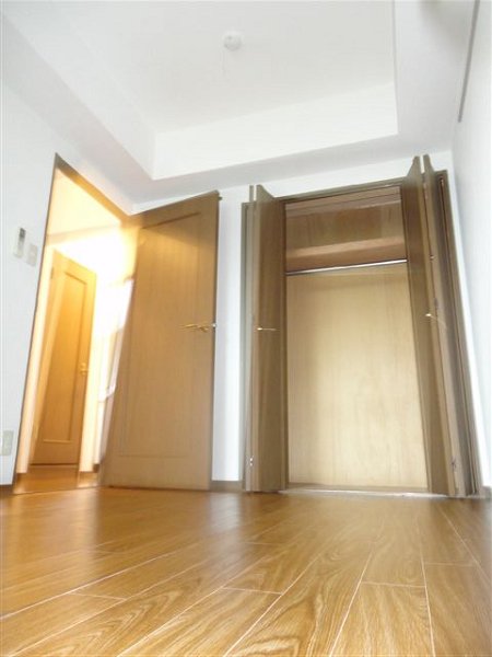 ドゥジェームニイヤ その他3