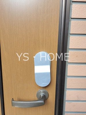 フェリシオⅡ その他6