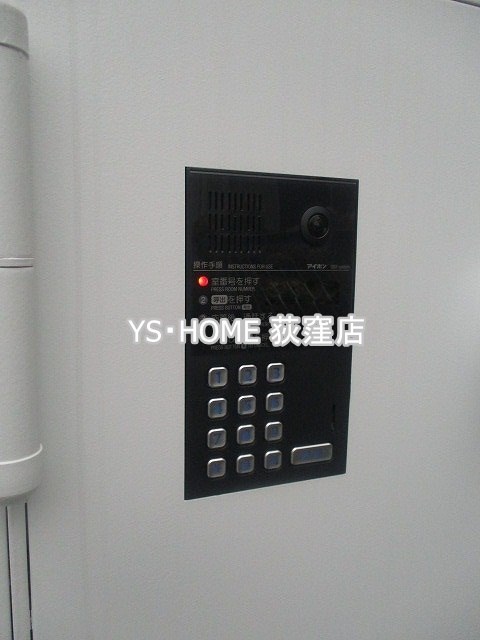 ニシオギソウ その他6