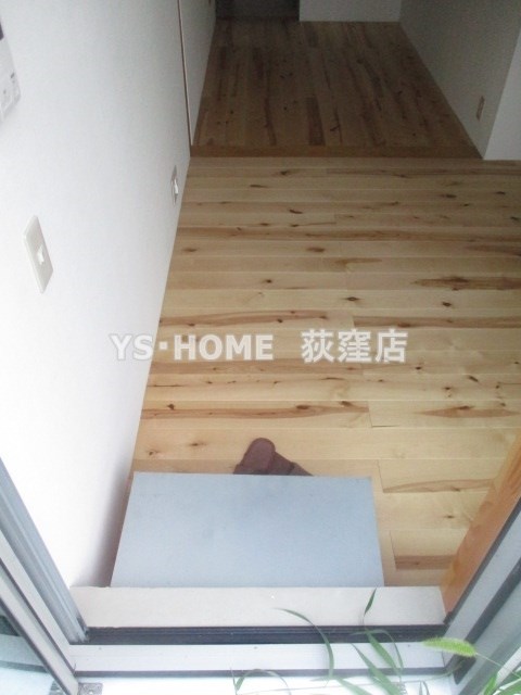 ニシオギソウ 玄関