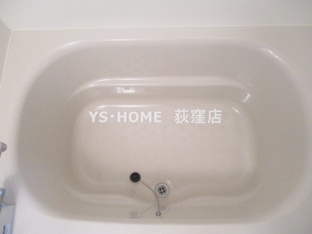 ニシオギソウ その他12