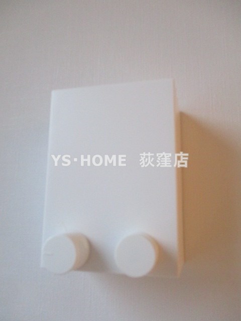 ニシオギソウ その他17