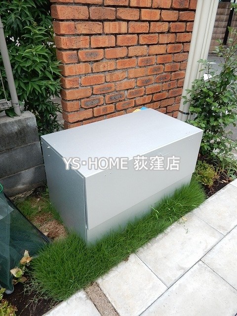 ニシオギソウ その他24