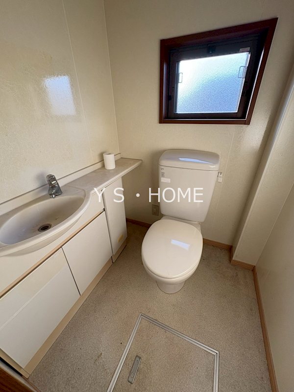 プラムツリー その他2