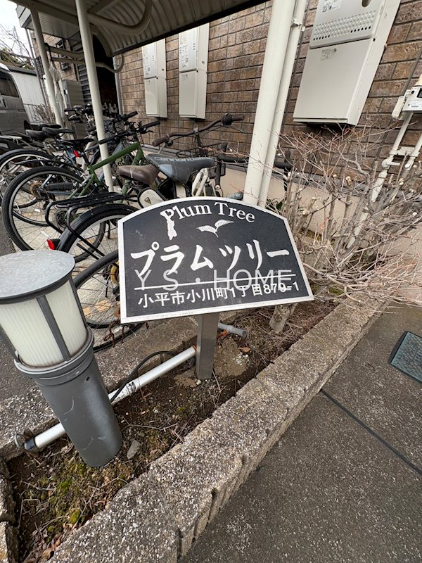 プラムツリー その他7