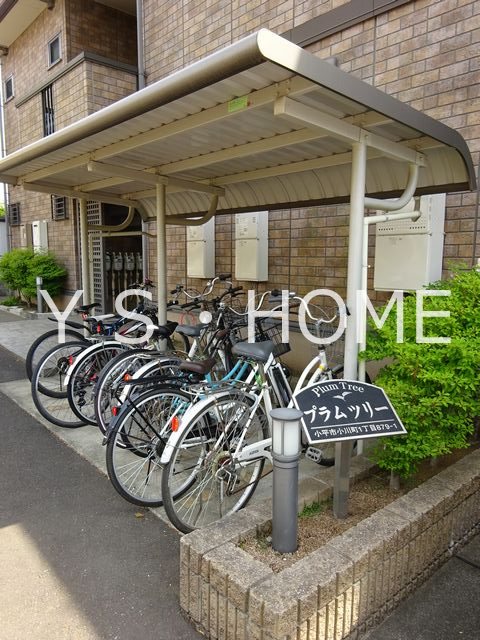 プラムツリー その他17