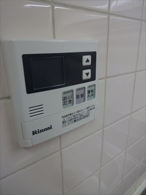 セントラルビレッジ その他30