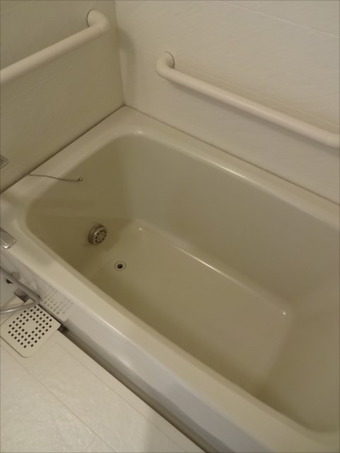 セントラルビレッジ 風呂画像