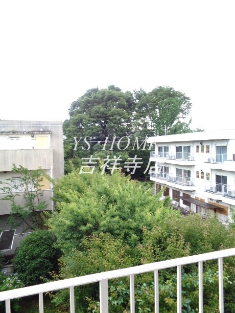 カサブランカN その他8