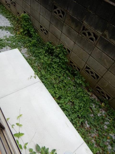 オハナ　エム ベランダ