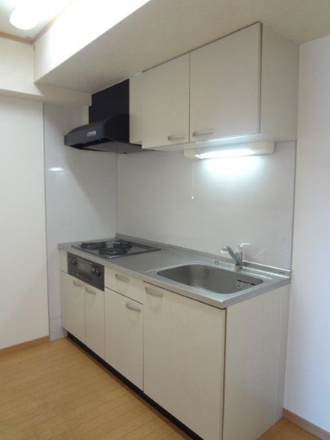 エクセラン　ミカミ キッチン