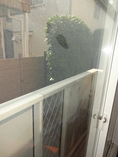 ベルフパス ベランダ