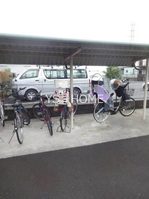 エバーグリーンA   その他1