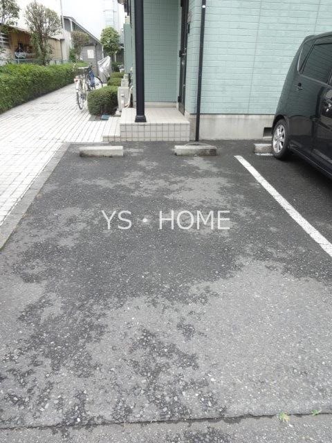 エバーグリーンA   その他2