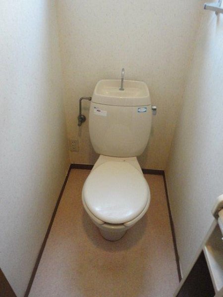 エバーグリーンA   その他4