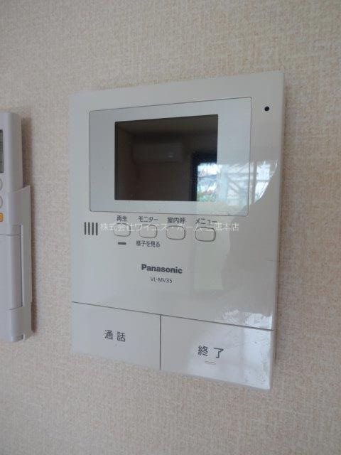 エバーグリーンA   その他5