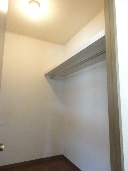 エバーグリーンA   その他7