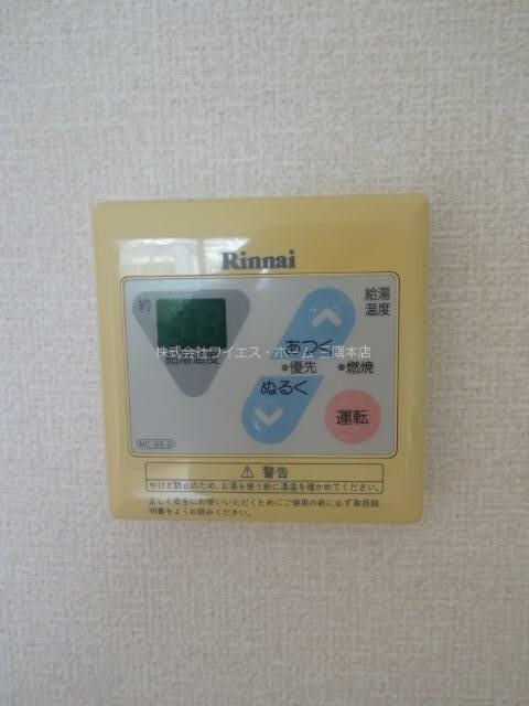 エバーグリーンA   その他8