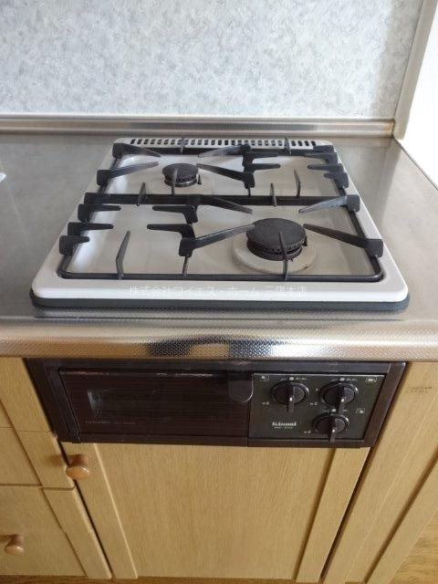 エバーグリーンA   その他11