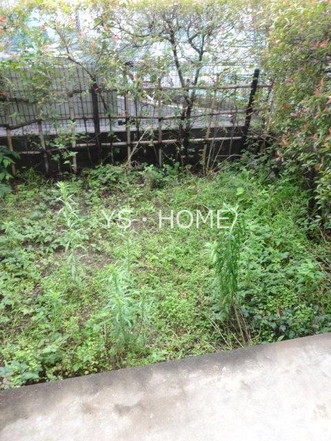 エバーグリーンA   その他15