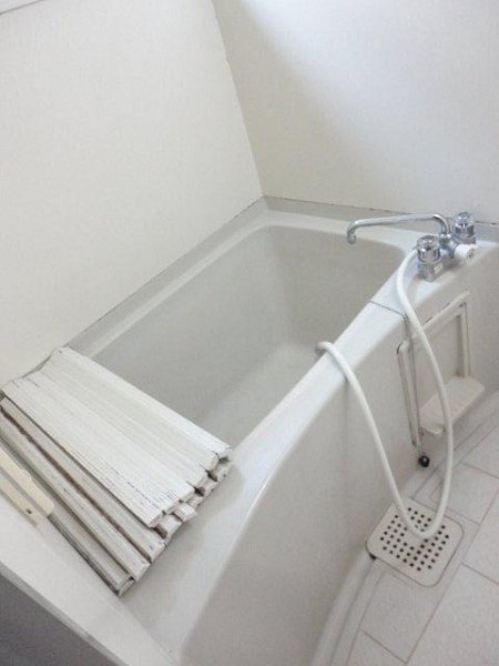 エバーグリーンA   風呂画像