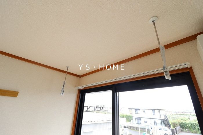 エバーグリーン その他3