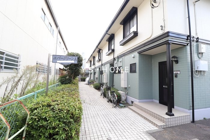 エバーグリーン その他8